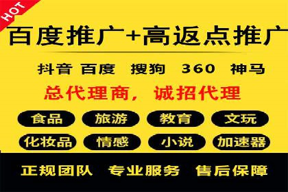 行业标杆的SEM竞价营销案例研究